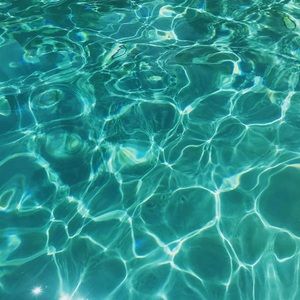 Meet your Posher, Malia